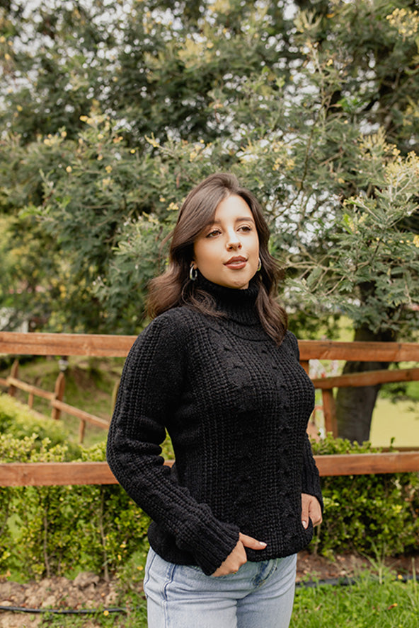 Sweater trenzado cuello tortuga - Negro