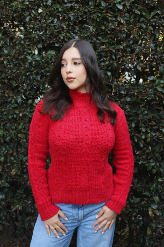 Suéter trenzado cuello tortuga - Rojo